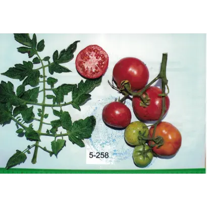 ПАМЯТИ ГУБКО