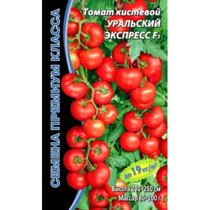 УРАЛЬСКИЙ ЭКСПРЕСС