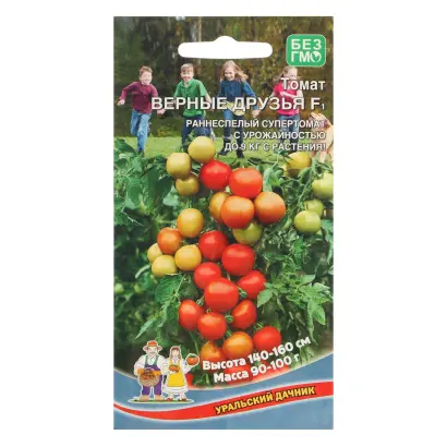 ВЕРНЫЕ ДРУЗЬЯ