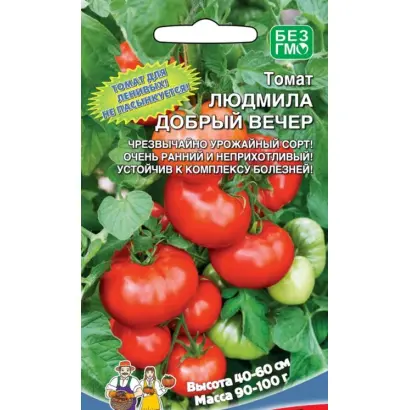 ЛЮДМИЛА ДОБРЫЙ ВЕЧЕР