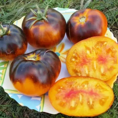 ЯНТАРНАЯ ГАЛАКТИКА