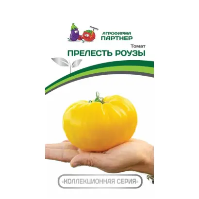 ПРЕЛЕСТЬ РОУЗЫ