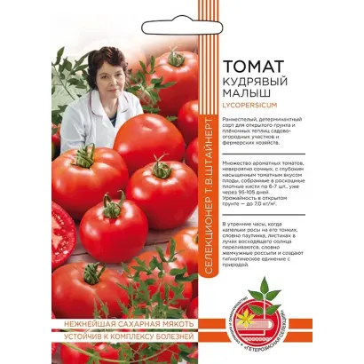 КУДРЯВЫЙ МАЛЫШ