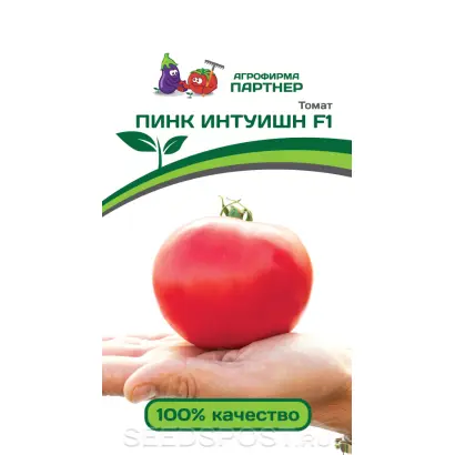 ПИНК ИНТУИШН