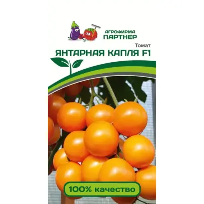 ЯНТАРНАЯ КАПЛЯ