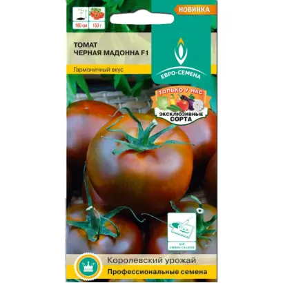 ЧЕРНАЯ МАДОННА