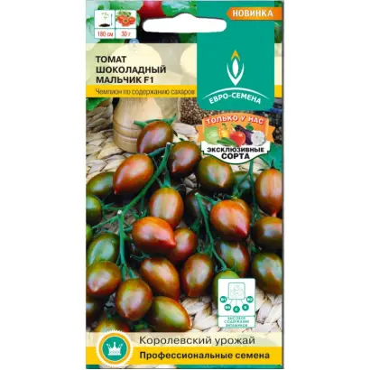 ШОКОЛАДНЫЙ МАЛЬЧИК