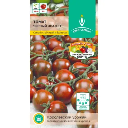 ЧЕРНЫЙ ОПАЛ