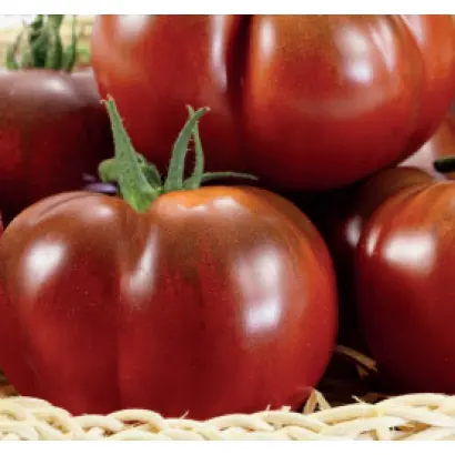 БЕГЕМОТ КОРИЧНЕВЫЙ