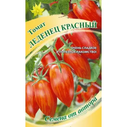 ЛЕДЕНЕЦ КРАСНЫЙ
