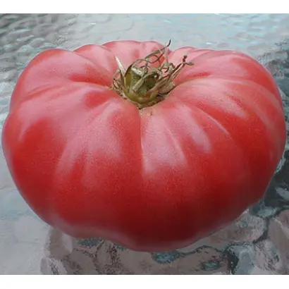 РОЗОВЫЙ БЫК