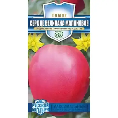 СЕРДЦЕ ВЕЛИКАНА МАЛИНОВОЕ