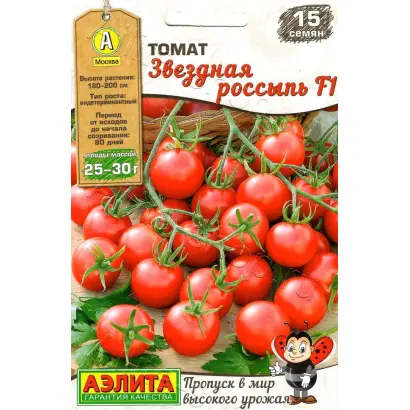 ЗВЕЗДНАЯ РОССЫПЬ