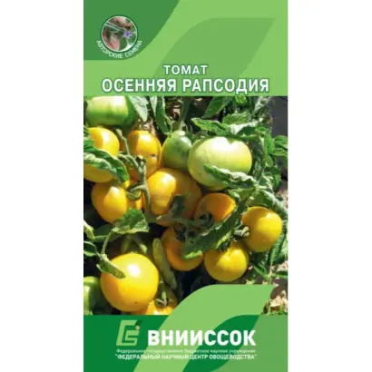 ОСЕННЯЯ РАПСОДИЯ