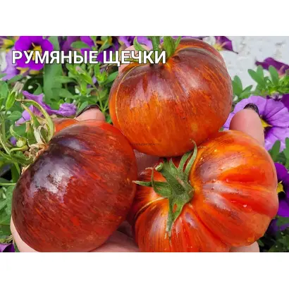 АППЕТИТНЫЕ ЩЕЧКИ