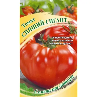 СПЯЩИЙ ГИГАНТ