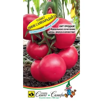 ПИНК САМПАРАДАЙ