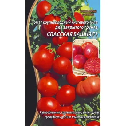 СПАССКАЯ БАШНЯ