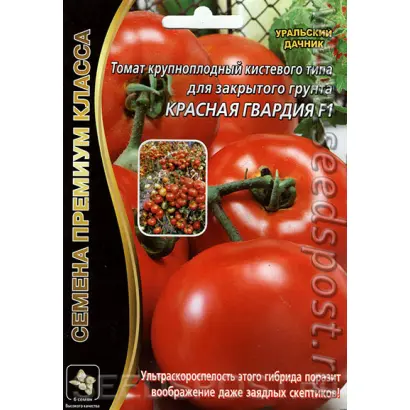 КРАСНАЯ ГВАРДИЯ