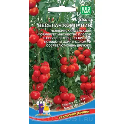 ВЕСЕЛАЯ КОМПАНИЯ