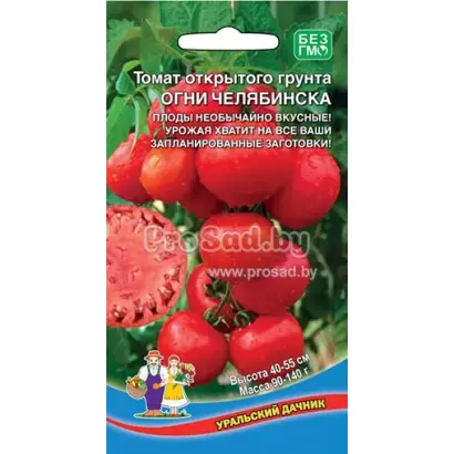 ОГНИ ЧЕЛЯБИНСКА