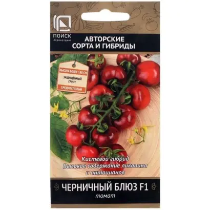 ЧЕРНИЧНЫЙ БЛЮЗ