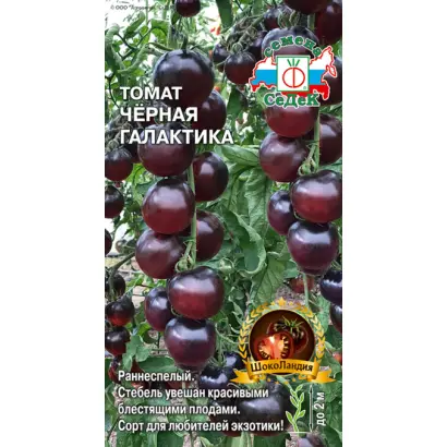 ЧЕРНАЯ ГАЛАКТИКА