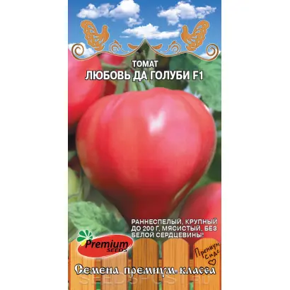 ЛЮБОВЬ ДА ГОЛУБИ