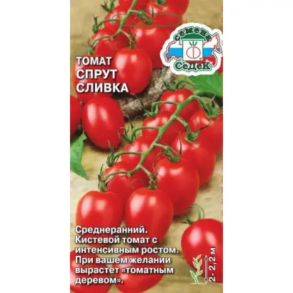 СПРУТ СЛИВКА