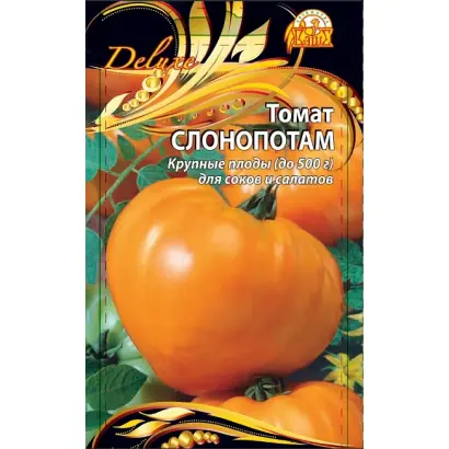 СЛОНОПОТАМ