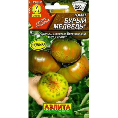 БУРЫЙ МЕДВЕДЬ