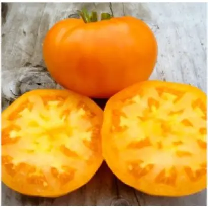 АМАНА ОРАНЖ