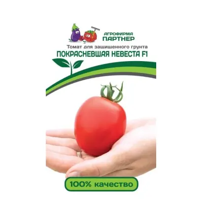 ПОКРАСНЕВШАЯ НЕВЕСТА