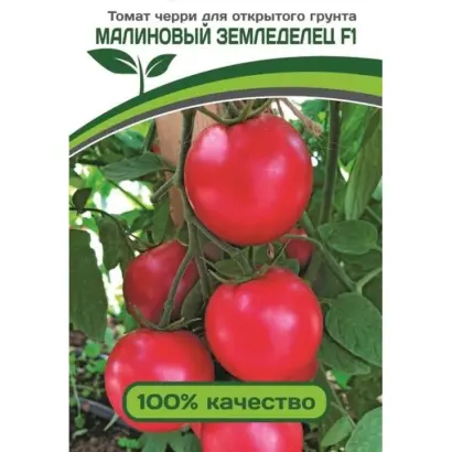 МАЛИНОВЫЙ ЗЕМЛЕДЕЛЕЦ