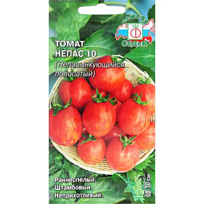 НЕПАС 10