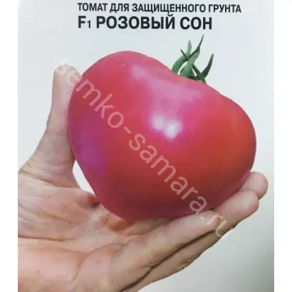 РОЗОВЫЕ СНЫ