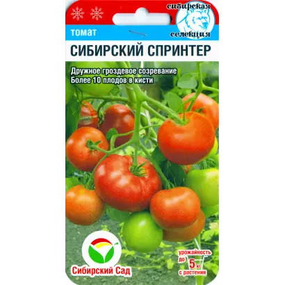 СИБИРСКИЙ СПРИНТЕР