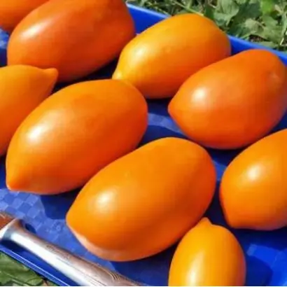 ЗОЛОТОЙ КЕНИГСБЕРГ