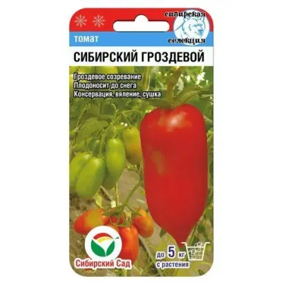 СИБИРСКИЙ ГРОЗДЕВОЙ