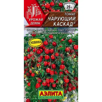 ЧАРУЮЩИЙ КАСКАД