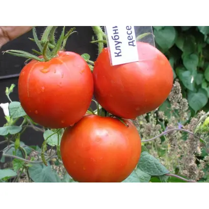 КЛУБНИЧНЫЙ ДЕСЕРТ