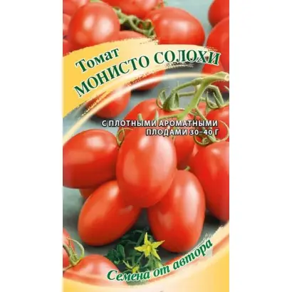 МОНИСТО СОЛОХИ