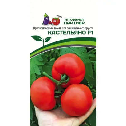 КАСТЕЛЬЯНО