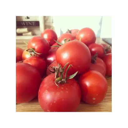 ВЕРЕЙСКИЙ КРАСНЫЙ