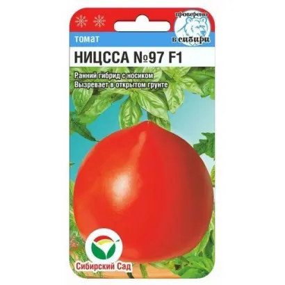 НИЦССА 97