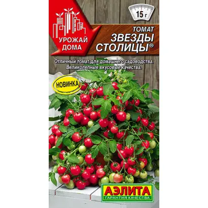 ЗВЕЗДЫ СТОЛИЦЫ