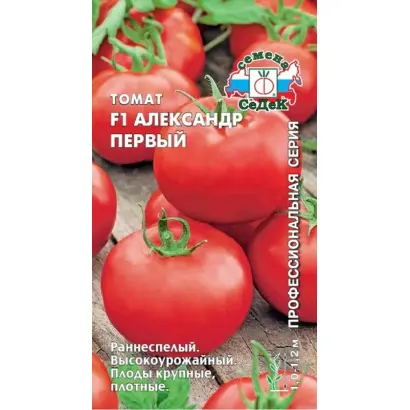 АЛЕКСАНДР ПЕРВЫЙ