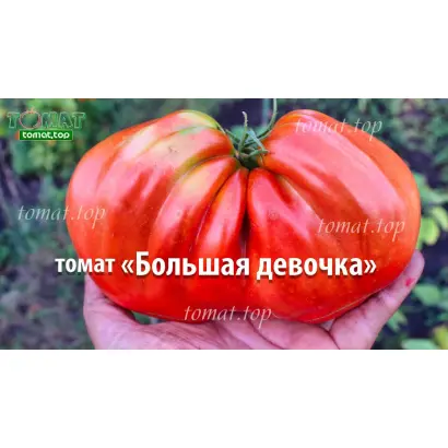 БОЛЬШАЯ ДЕВОЧКА