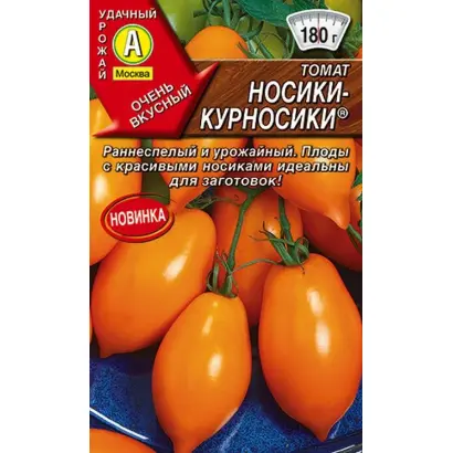 НОСИКИ-КУРНОСИКИ