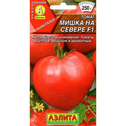 МИШКА НА СЕВЕРЕ